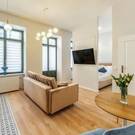 Apartament Radwanska *